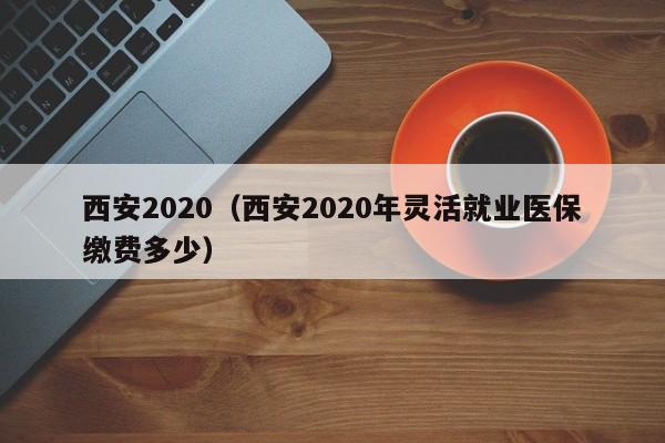 西安2020(西安2020年灵活就业医保缴费多少)