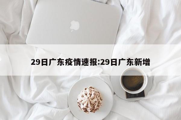 29日广东疫情速报:29日广东新增